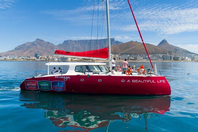 1- Hour Catamaran Cruise Cape Town - Key highlights before you sail