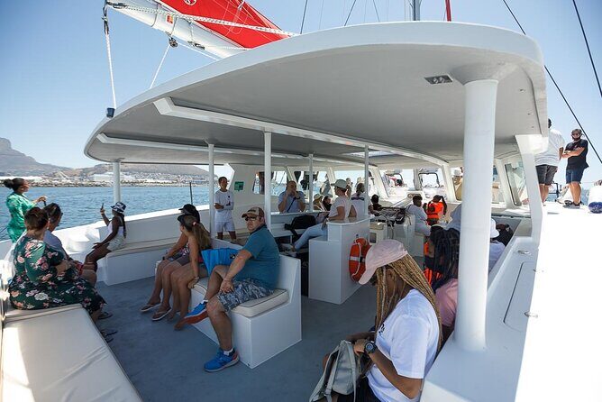 1- Hour Catamaran Cruise Cape Town - Table Mountain, Robben Island, and the harbor views you can’t get from shore