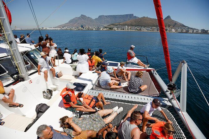 1- Hour Catamaran Cruise Cape Town - Timing, schedules, and the small operational realities