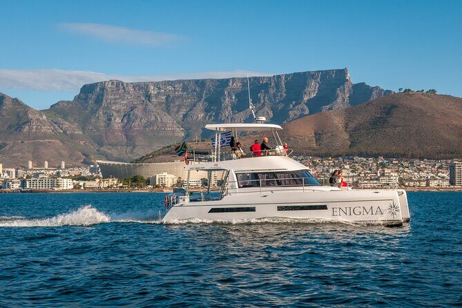 1 Hour Coastal Catamaran Cruise from Cape Town - The V&A Waterfront start: where the ride begins smoothly