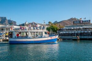 1 Hour Coastal Catamaran Cruise from Cape Town - Green Point lighthouse turnaround: the views you should aim for