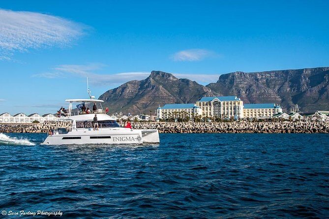 1 Hour Coastal Catamaran Cruise from Cape Town - Crew with local history: what the staff does for your experience