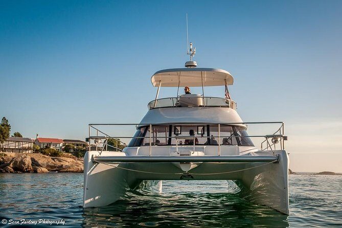 1 Hour Coastal Catamaran Cruise from Cape Town - Wildlife on the water and how the sea can change the ride