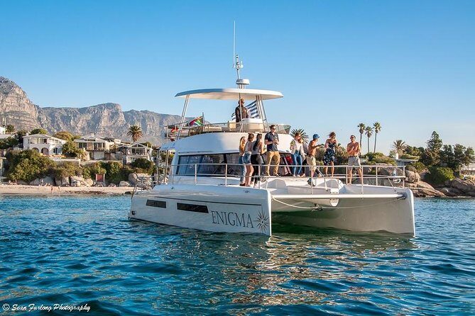 1 Hour Coastal Catamaran Cruise from Cape Town - Practical tips that make a big difference on this 1-hour cruise