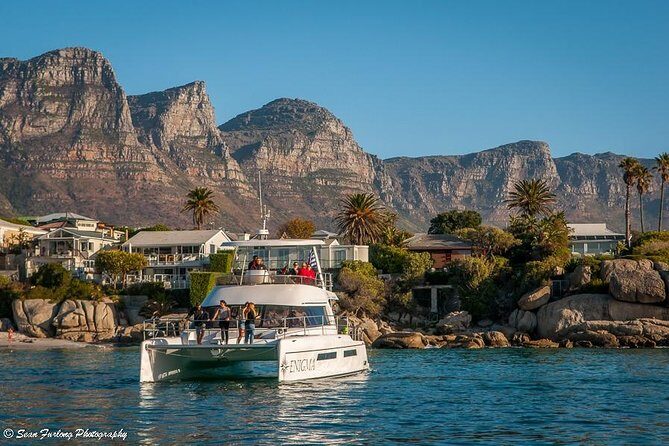 1 Hour Coastal Catamaran Cruise from Cape Town - Who should book this cruise, and who might prefer another option