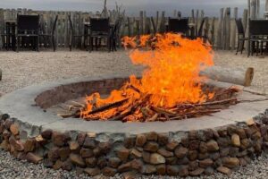 2 Day Safari Experience from Cape Town - Getting Set for Safari: What You’re Really Paying For