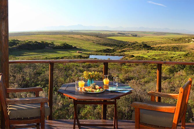 2 Day Safari Experience from Cape Town - Day 2: Morning Game Drive, Hermanus Stops, and Penguins at Betty’s Bay