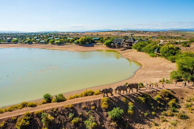 2 Day South African Wildlife Tour with 4x4 Safari from Cape Town - Cape Town to Klein Karoo: the early pickup that starts it all