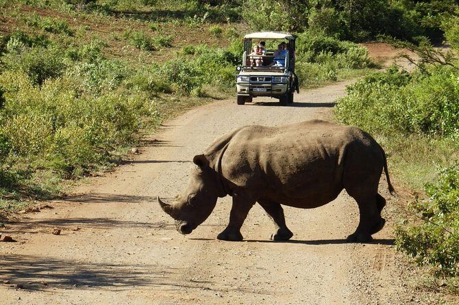 2 Day South African Wildlife Tour with 4x4 Safari from Cape Town - Botlierskop Private Game Reserve: Big Five style from a 4x4 safari
