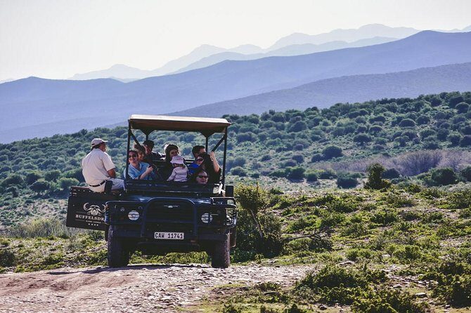 2 Day South African Wildlife Tour with 4x4 Safari from Cape Town - My booking checklist before you commit