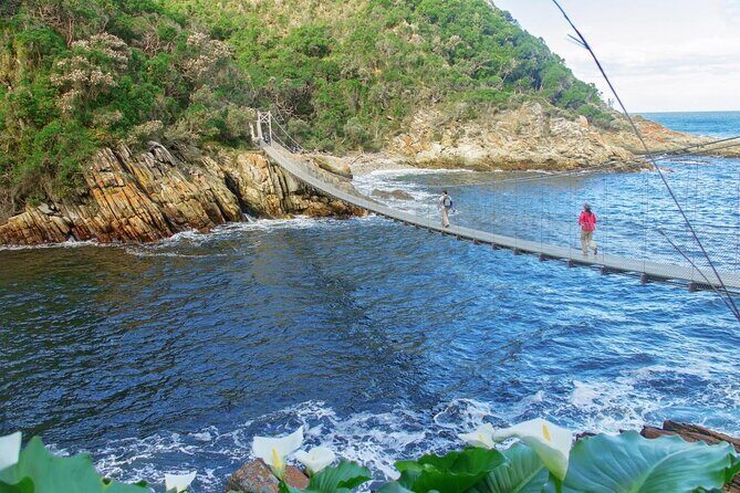 3 Day Garden Route Safari - Key things I’d prioritize before you go