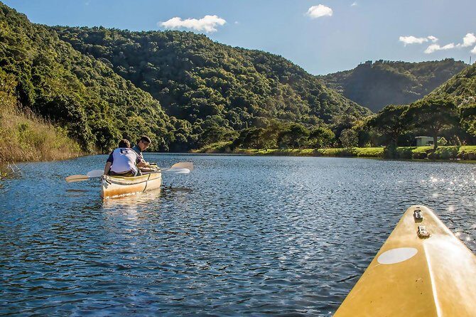 3 Day Garden Route's Best Highlights with Safari from Cape Town - Bloukrans Bridge: Bungee Jump Choice, Zipline Build-Up, and Views