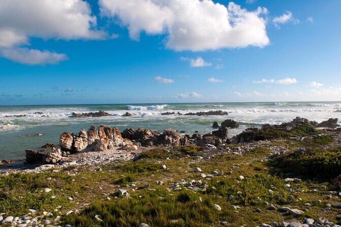 6-Day Garden Route & Addo South African Adventure from Cape Town - Road Trip Value: Why This 6-Day Mix Works