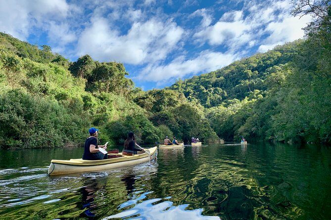 6-Day Garden Route & Addo South African Adventure from Cape Town - Day 3: Wilderness National Park Canoeing on the Touw River