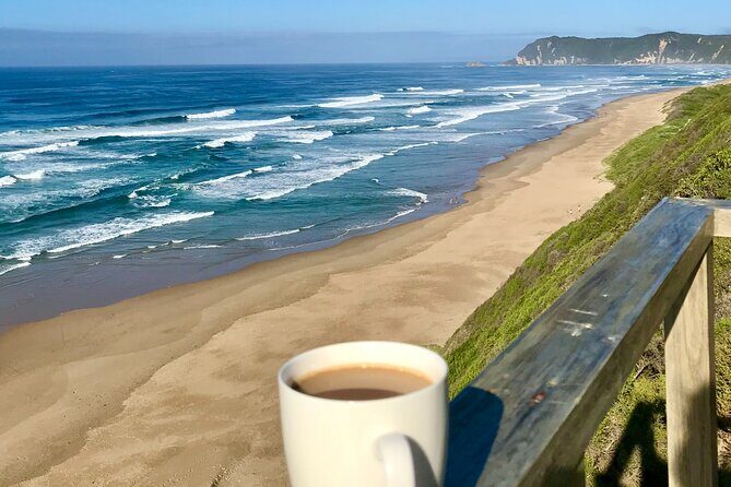 6-Day Garden Route & Addo South African Adventure from Cape Town - Lodging and Group Energy: What to Expect Beyond the Checklist
