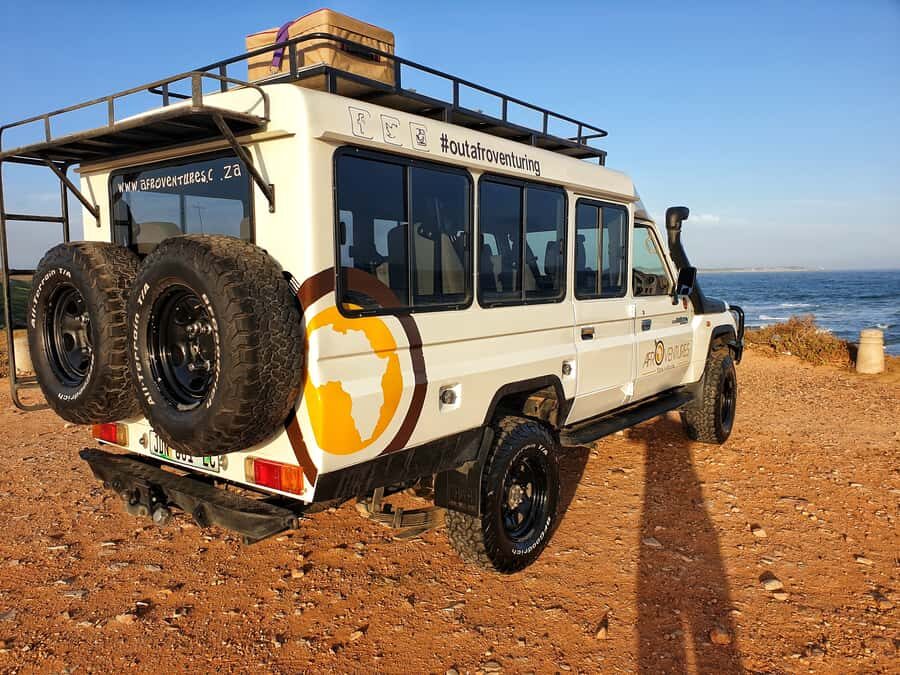 Addo Elephant National Park All Inclusive Full-Day Safari - Practical tips so your day runs smoothly