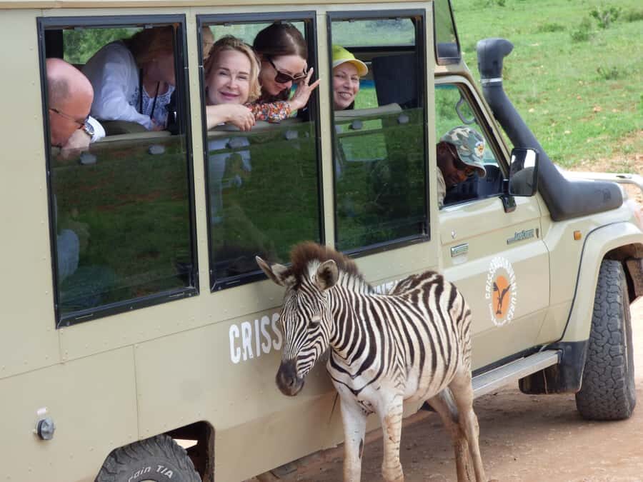 Addo National Park: Guided Half-Day Safari - Northern Main Camp is a smart way to do Addo in 4 hours