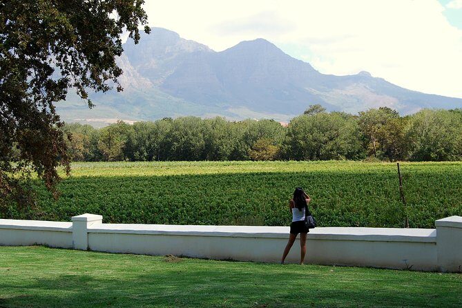 African Story Wine Tours in the Cape Winelands - What You Actually Taste: sparkling, Cape ports, cheese, and chocolates