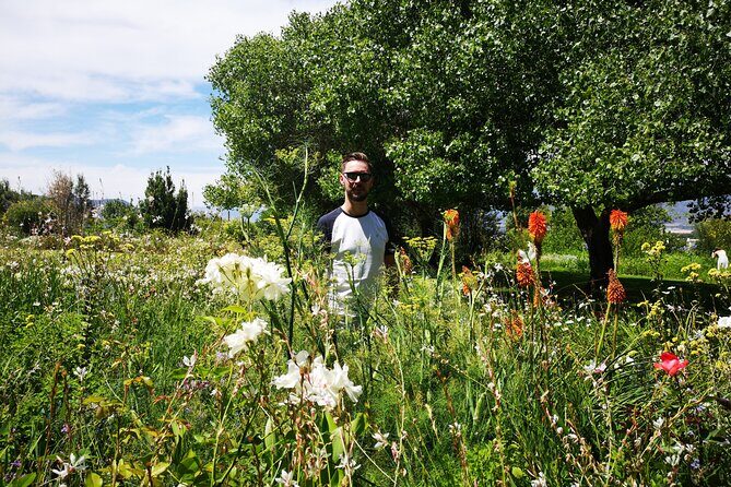 African Story Wine Tours in the Cape Winelands - Lunch at a Local Restaurant: your midday reset (with wine)