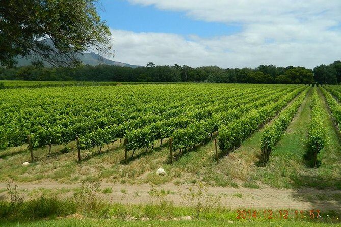 African Story Wine Tours in the Cape Winelands - Price and value: where $102.95 really makes sense