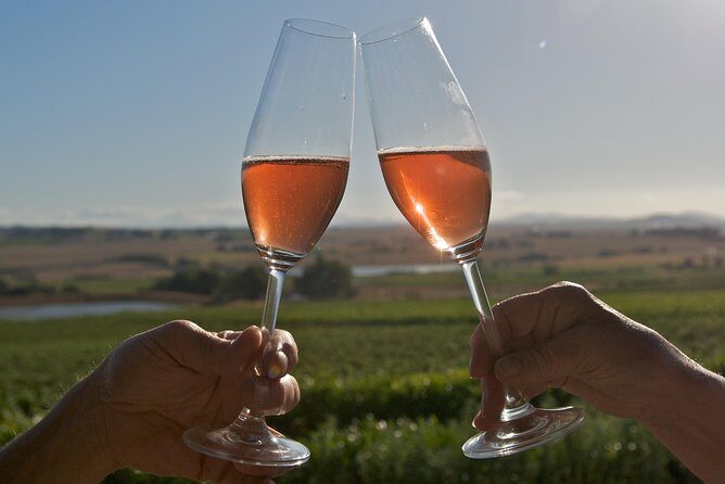 African Story Wine Tours in the Cape Winelands - Tips to get the most from your 8:30 am start