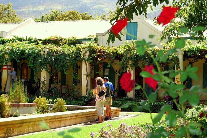 African Story Wine Tours in the Cape Winelands - Who should book this Cape Winelands day trip