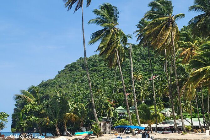 All-Inclusive Land And Sea Excursion - Lunch at Mama’s House: Local-Style, Not Pretend Authentic