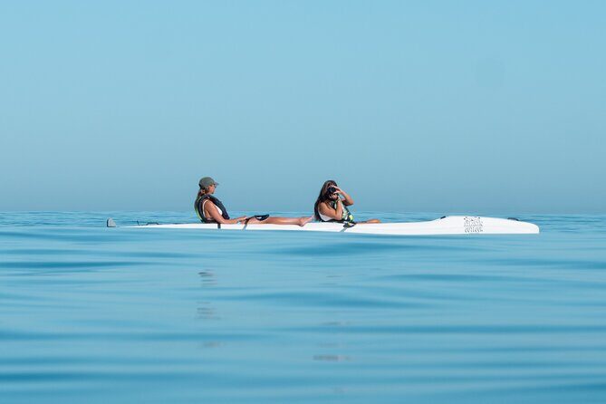 Atlantic Outlook Kayak Tour Cape Town - Stop 2: The Table Mountain Marine Reserve Paddling Stretch (About 1.5 Hours)
