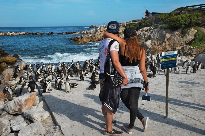 Best of Cape Town Full-Day Private Tour with Table Mountain - Chapman’s Peak Drive Viewpoint: A Short Stop With Big Payoff