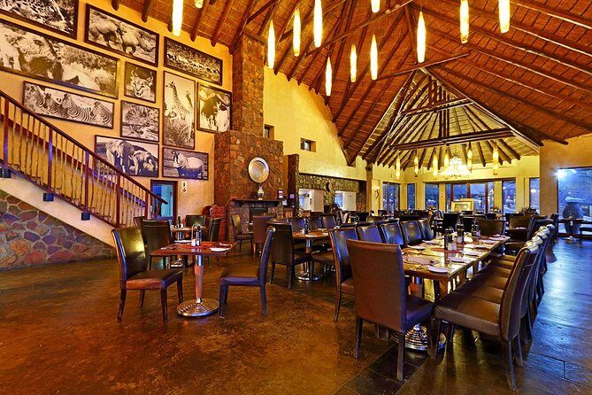 Big Five Game Reserve Wildlife Safari from Cape Town - Birds Are Not a Side Quest at Aquila