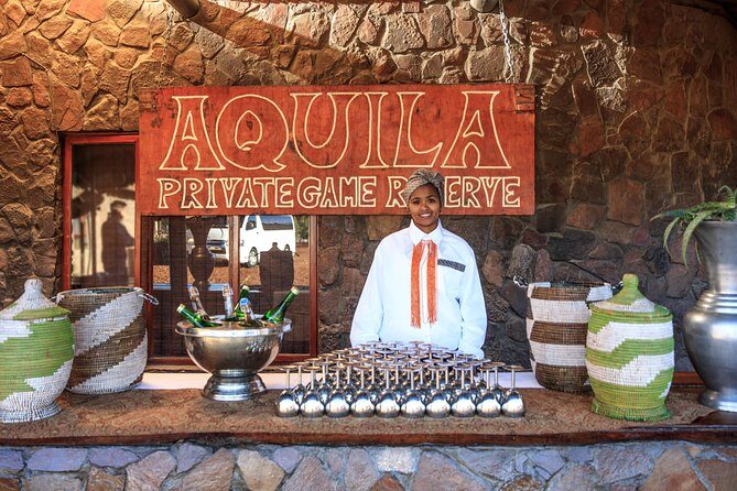 Big Five Game Reserve Wildlife Safari from Cape Town - Logistics That Actually Affect Your Enjoyment