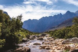 Big Five Safari and Breede River Valley Guided Day Trip - Du Toitskloof Wines and Ou Meul Bakery: the winelands pause