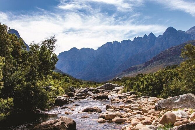 Big Five Safari and Breede River Valley Guided Day Trip - Du Toitskloof Wines and Ou Meul Bakery: the winelands pause