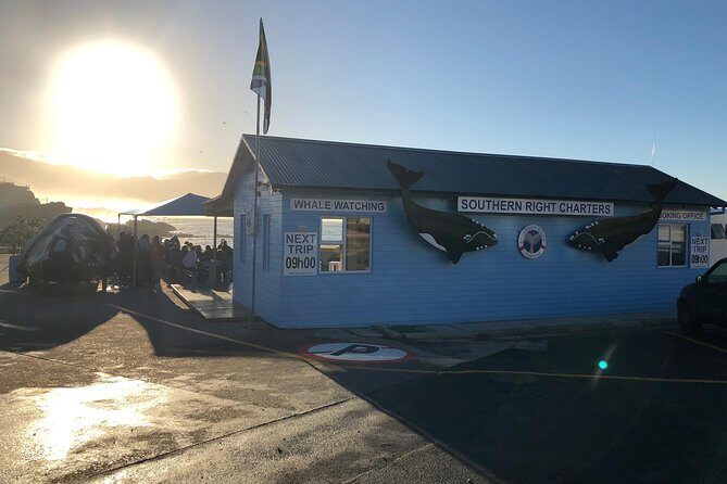 Boat Based Whale Watching from Hermanus - Comfort on a catamaran: sitting tips for choppy days