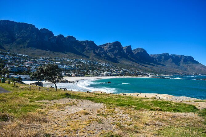Cape of Good Hope & Boulder Penguins Full-Day Tour from Cape Town - Hout Bay and the Duiker Island seal boat option (timing note)