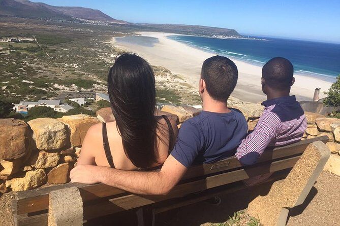 Cape of Good Hope & Boulders Beach Private Tour (Including Lunch) - Twelve Apostles to Hout Bay: The Route Gets Dramatic Fast