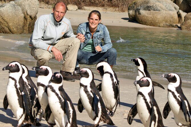Cape of Good Hope & Penguins Small Group Tour from Cape Town - Bo-Kaap Color and Cape City Monuments: Getting Oriented Fast