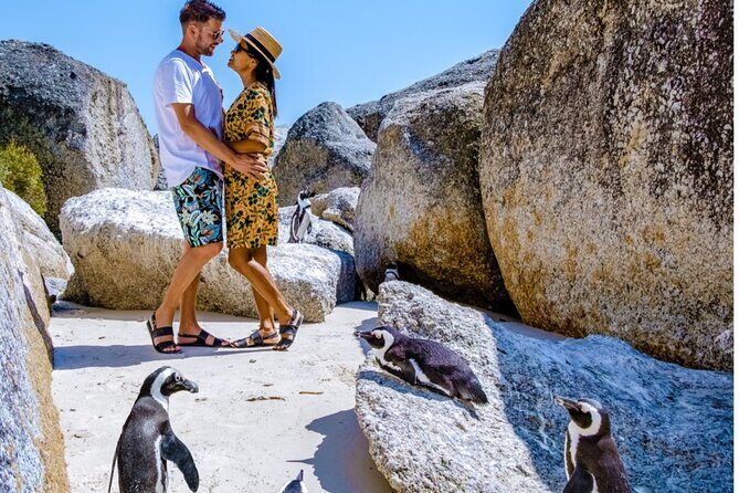 Cape of Good Hope & Penguins Small Group Tour from Cape Town - Atlantic Seaboard Stops: Clifton, Camps Bay, and Llandudno Angles