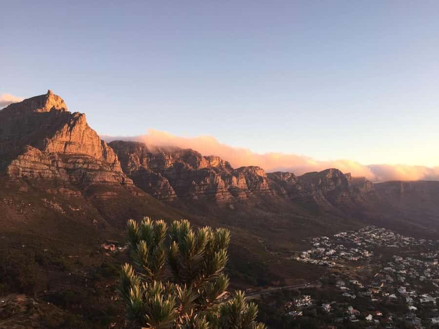 Cape Peninsula Shared Half-Day Tour - Key points worth knowing before you go