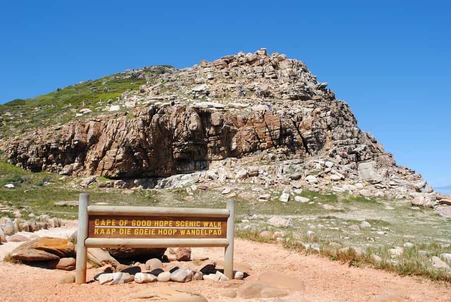 Cape Peninsula Shared Half-Day Tour - Cape Point and Cape of Good Hope Nature Reserve: rugged flora and ocean drama