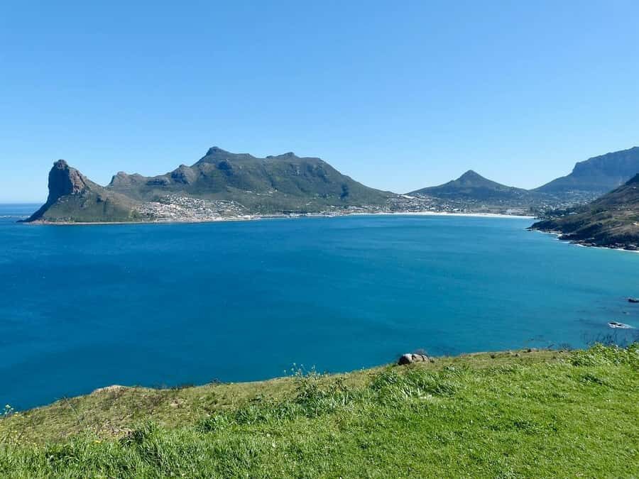 Cape Peninsula Shared Half-Day Tour - The penguins stop: how to decide whether to add it