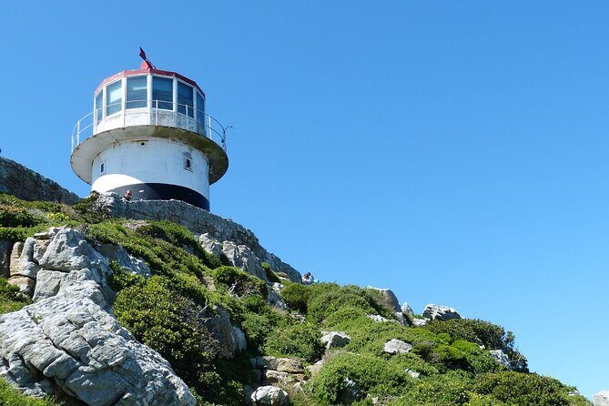 Cape Point and Boulder's Penguins Full Day Tour - Key Things I’d Watch For on This Cape Town Tour
