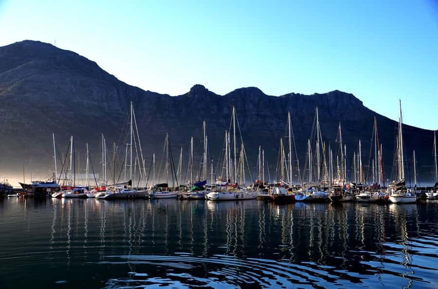 Cape Point Full-Day Tour From Cape Town - Wildlife spotting in the reserve: what to watch for (and what to ignore)