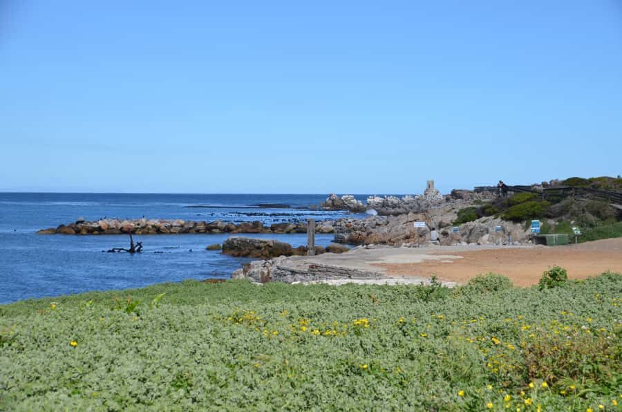 Cape Point Full-Day Tour From Cape Town - Simon’s Town, Fish Hoek, Muizenburg, and the return route