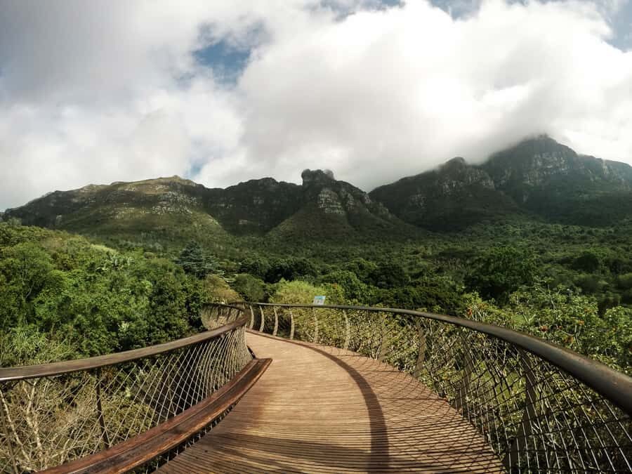 Cape Point Full-Day Tour From Cape Town - Guides and small-group feel: why this tour works better in a group of 10