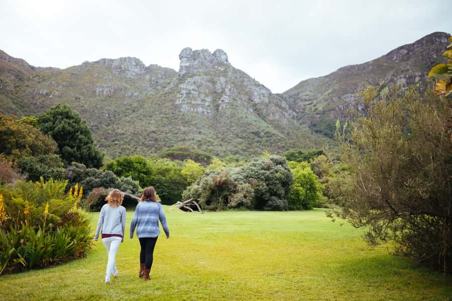 Cape Point Full-Day Tour From Cape Town - Price and logistics: is $113 good value?