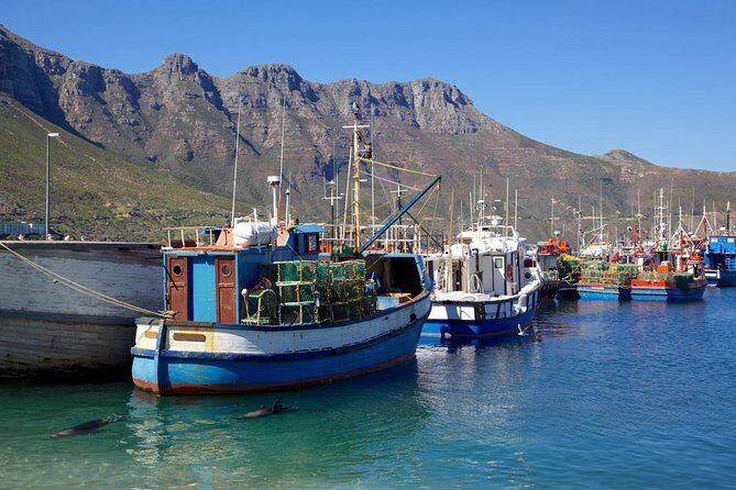 Cape Point Sightseeing Tour including Cape of Good Hope full day from Cape Town - Hout Bay: seals, shops, and the optional Duiker Island boat