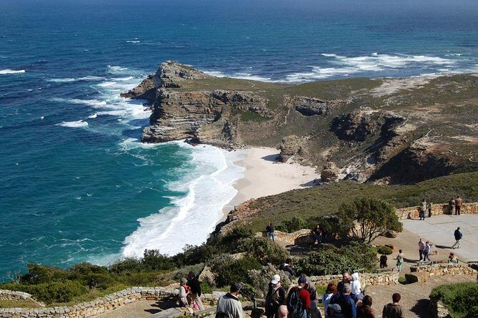 Cape Point Sightseeing Tour including Cape of Good Hope full day from Cape Town - Cape Point Nature Reserve: time inside the park, plus wildlife odds