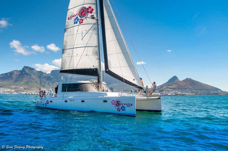 Cape Town: 1.5-Hour Luxury Sunset Cruise with Prosecco - Setting Sail From the V&A Waterfront: what this cruise is really like