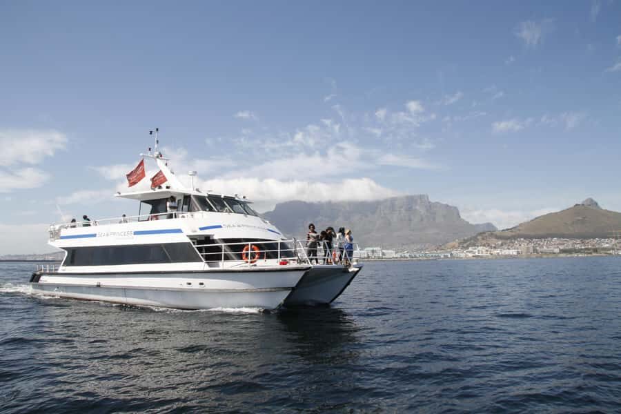 Cape Town: 1-Hour Pre-Sunset Champagne Cruise - The value of a 1-hour cruise before sunset (and why it works)